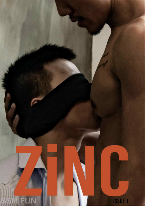 ZiNC1 001