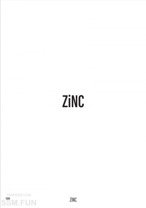 ZiNC1 100